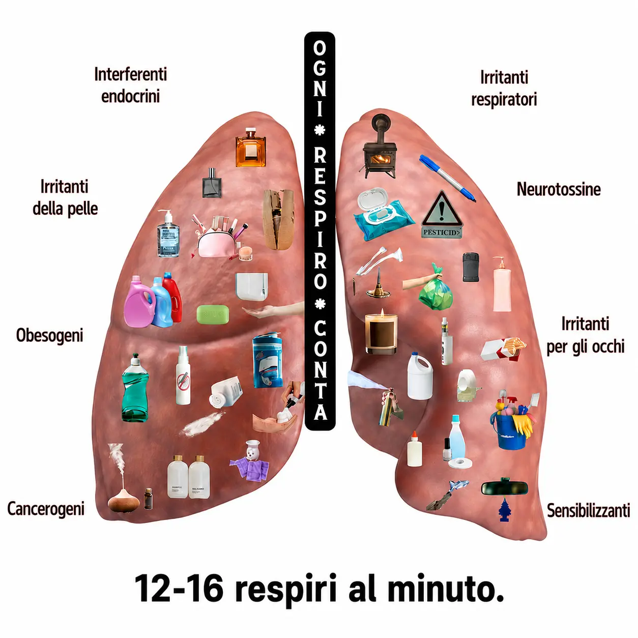 interferenti endocrini Interferenti endocrini, Irritanti respiratori